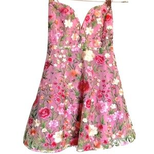 For Love & Lemons pastel pink embroidered tulle corset-back mini dress Medium